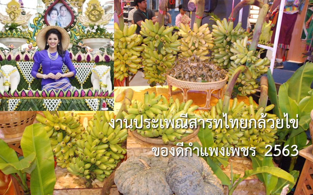 ประเพณีสารทไทยกล้วยไข่ ของดีกำแพงเพชร