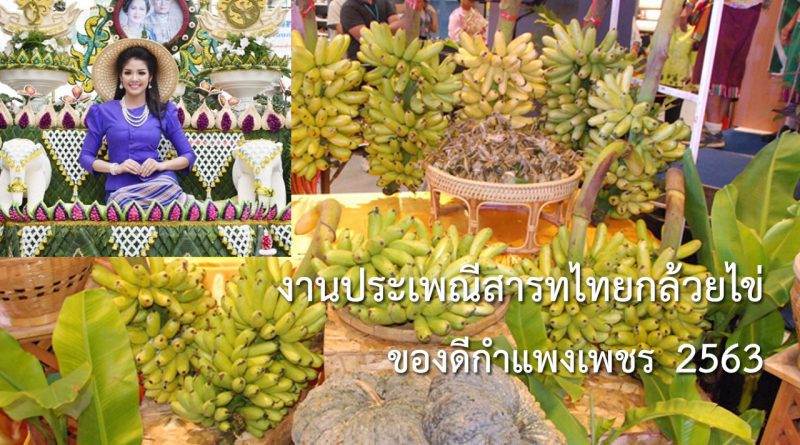 ประเพณีสารทไทยกล้วยไข่ ของดีกำแพงเพชร