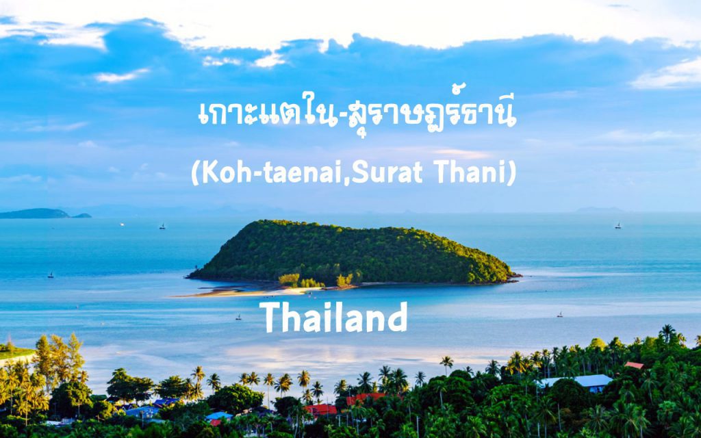 เกาะแตใน