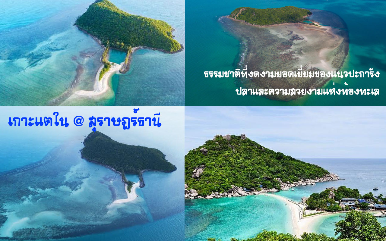 เกาะแตใน