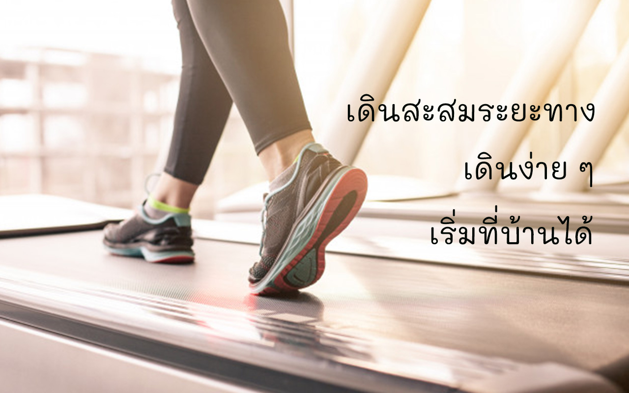 เดินสะสมระยะทาง งานเดิน