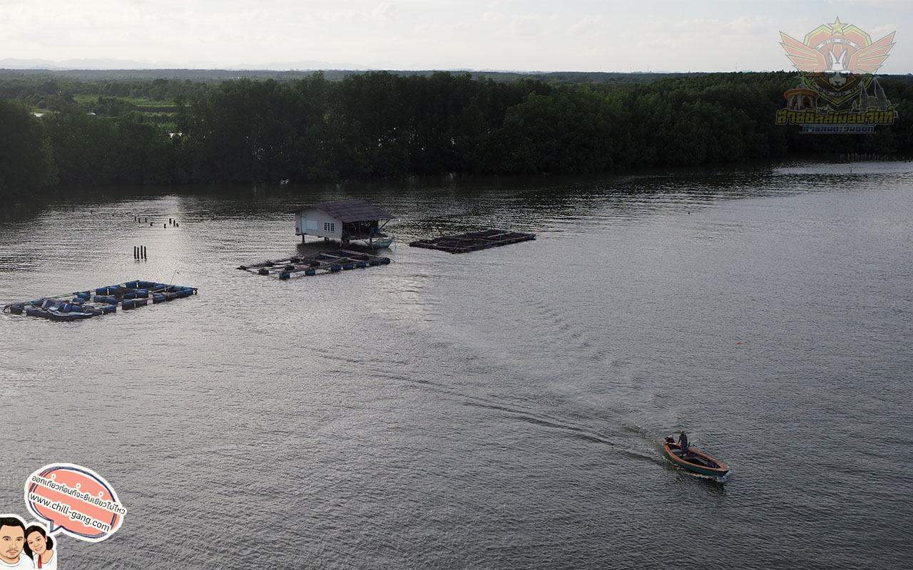 ป่าชายเลน จังหวัดระยอง สถานที่ท่องเที่ยวจังหวัดระยอง ฟาร์มหอยนางรม