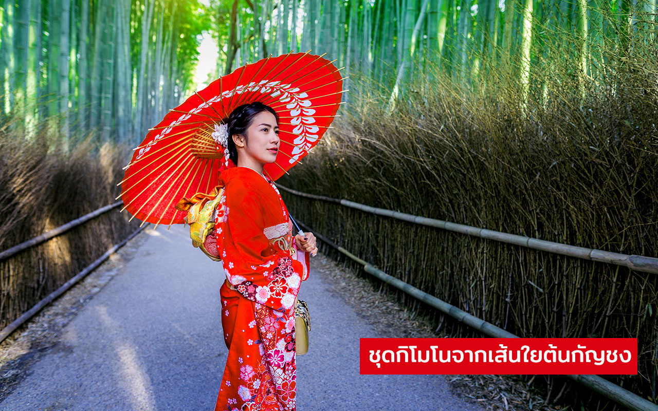 ชุดกิโมโนจากเส้นใยต้นกัญชง