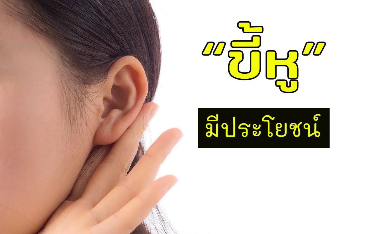 ประโยชน์ของขี้หู ขี้หมูมีประโยชน์