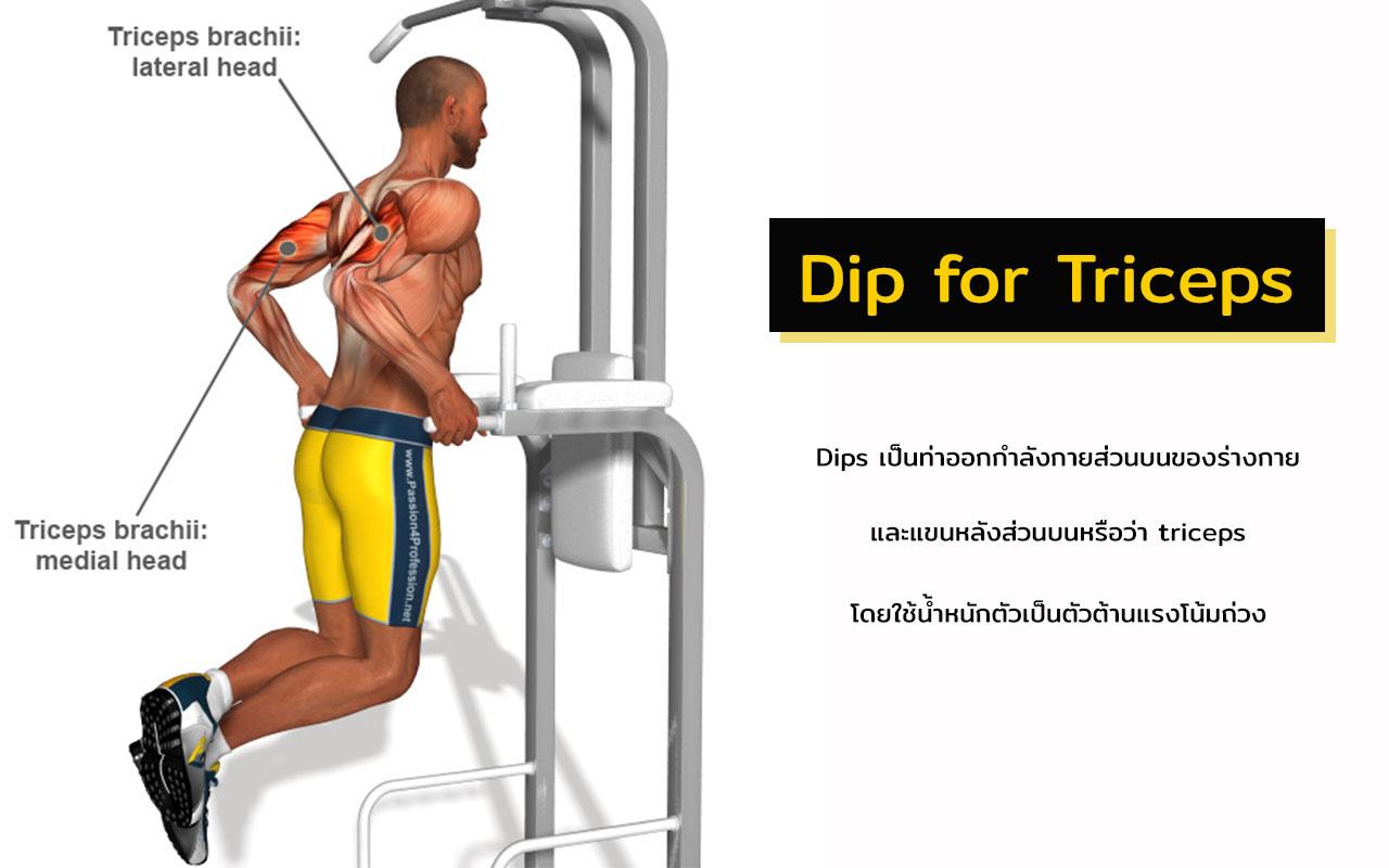 Dip for Triceps วิธีลดแขนใหญ่ บอดี้เวท
