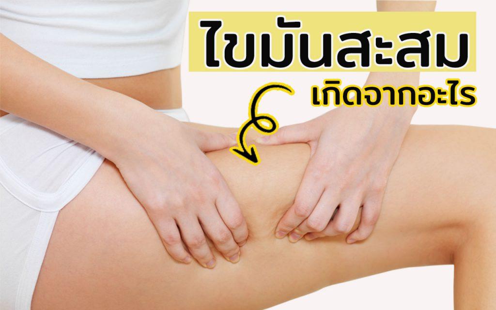 ไขมันสะสมเกิดจากอะไร