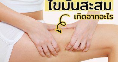 ไขมันสะสมเกิดจากอะไร