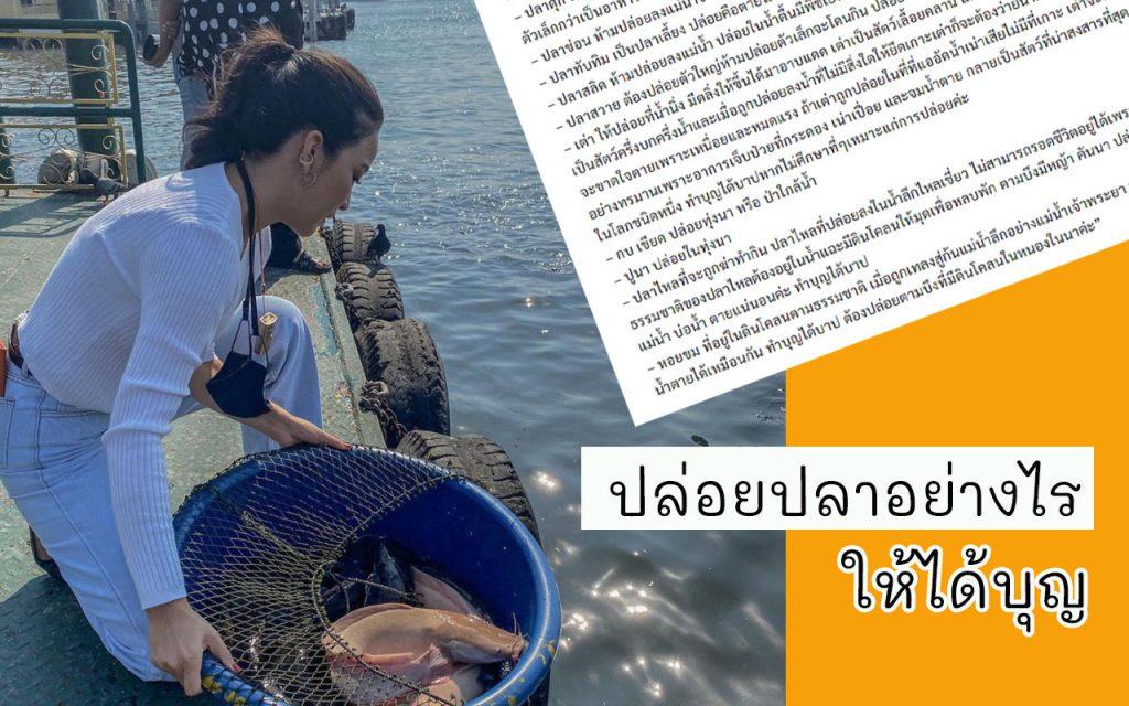 ทำบุญ ปล่อยปลา