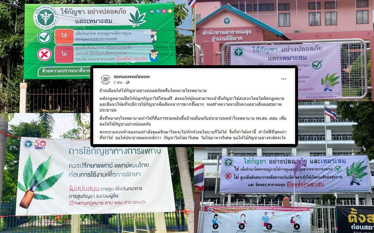 ป้ายเตือนการใช้กัญชา อาการแพ้กัญชา