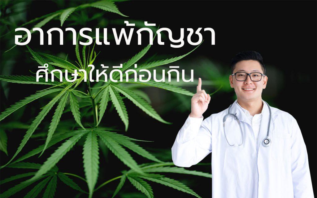 อาการแพ้กัญชา แพ้ใบกัญชา แพ้อาหารกัญชา