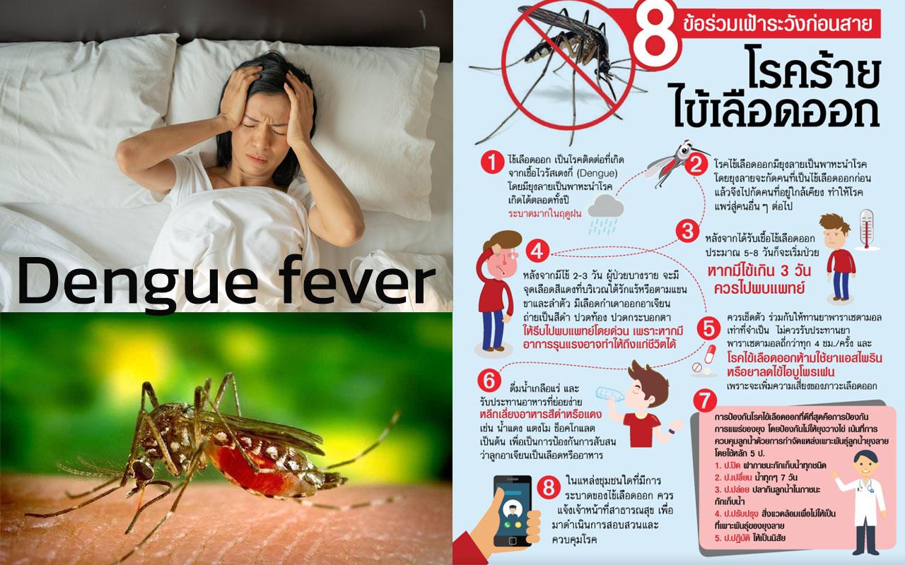 Dengue fever โรคไข้เลือดออก ไข้เลือดออก