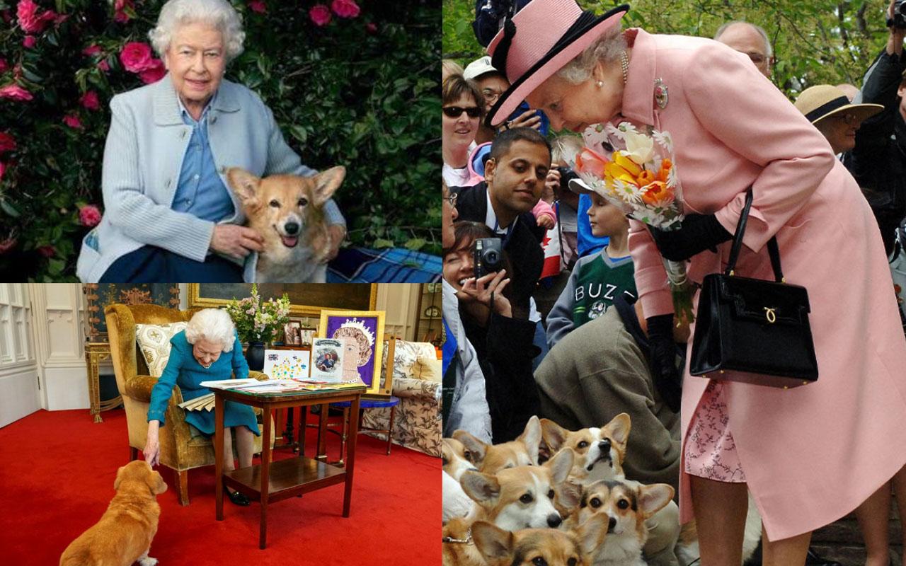 สุนัขทรงเลี้ยงของควีน ควีนแห่งอังกฤษ