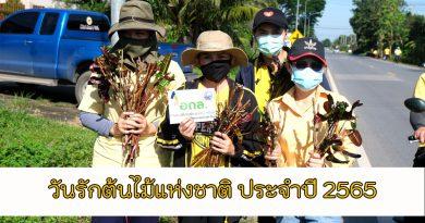 เทศบาลท่าใหม่ ววันรักต้นไม้แห่งชาติ ประจำปี 2565