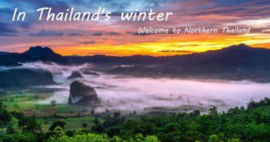 In Thailand's winter travel Thailand tourism thailand