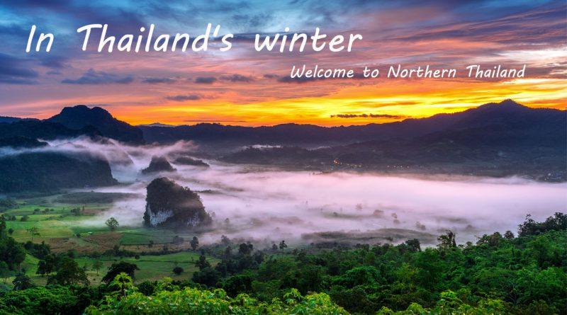 In Thailand's winter travel Thailand tourism thailand