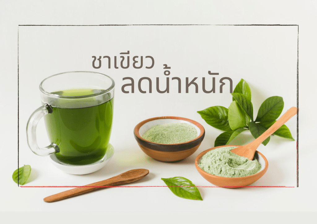 ใบชาเขียว ชาเขียวลดน้ำหนัก