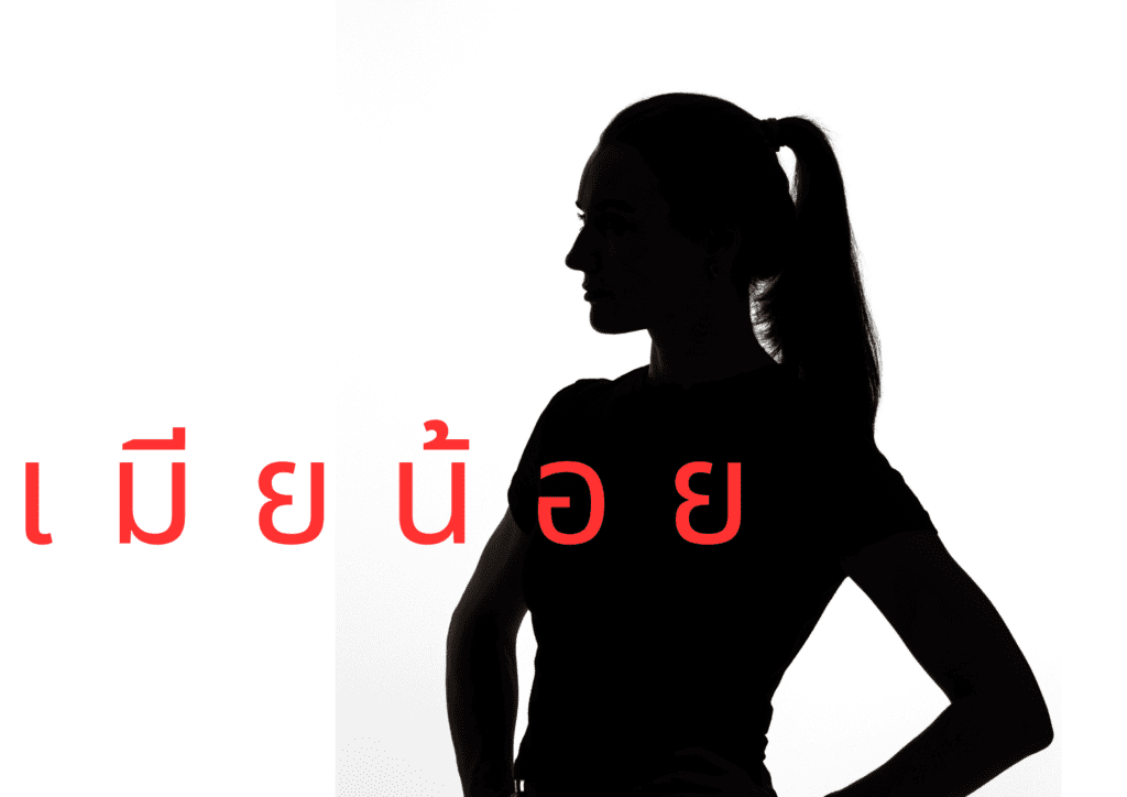 เมียน้อย -001