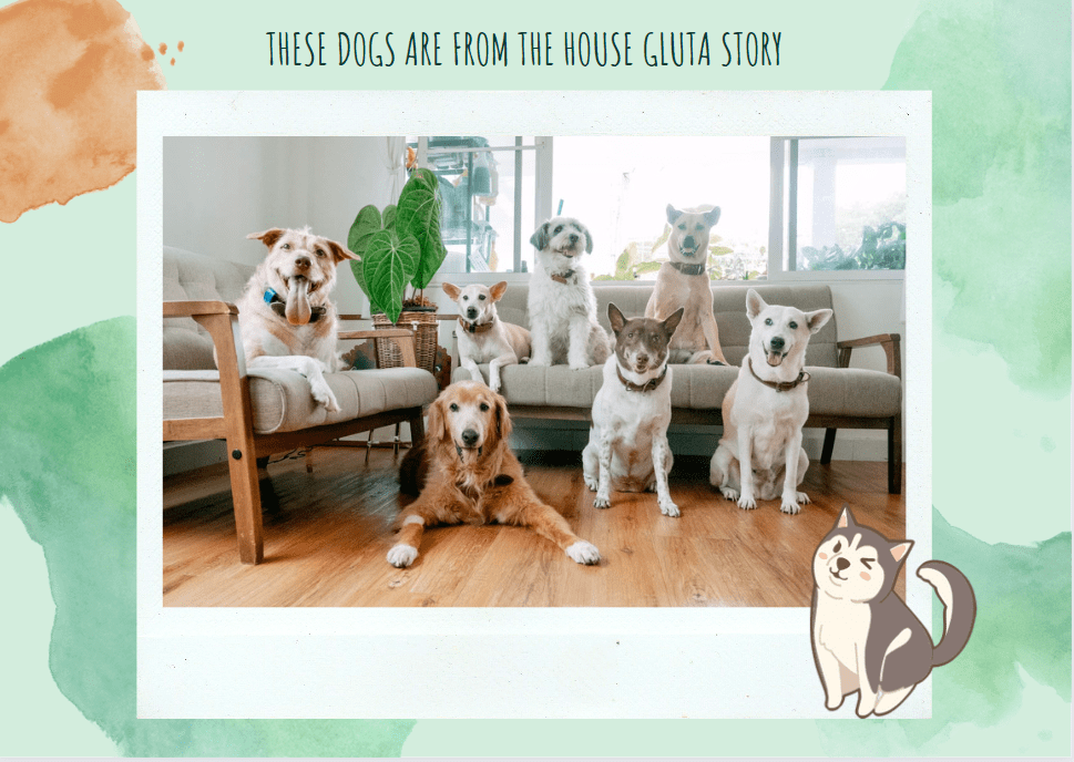 National Dog Day Gluta Story