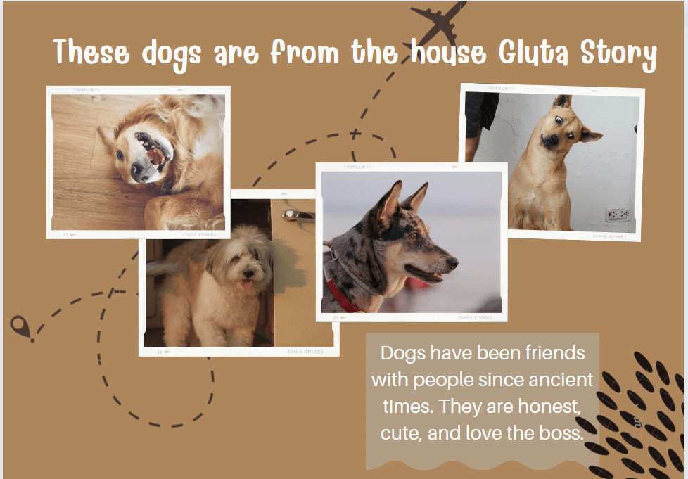 วันสุนัขโลก 26 สิงหาคม Gluta Story