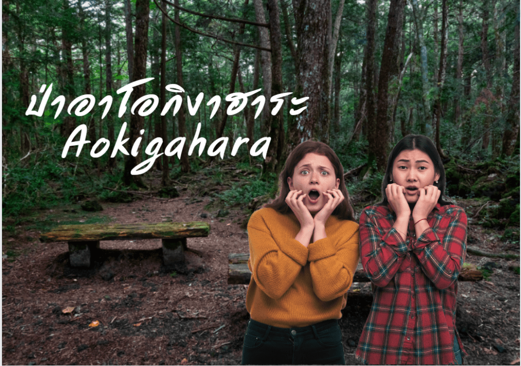 ป่าอาโอกิงาฮาระ Aokigahara