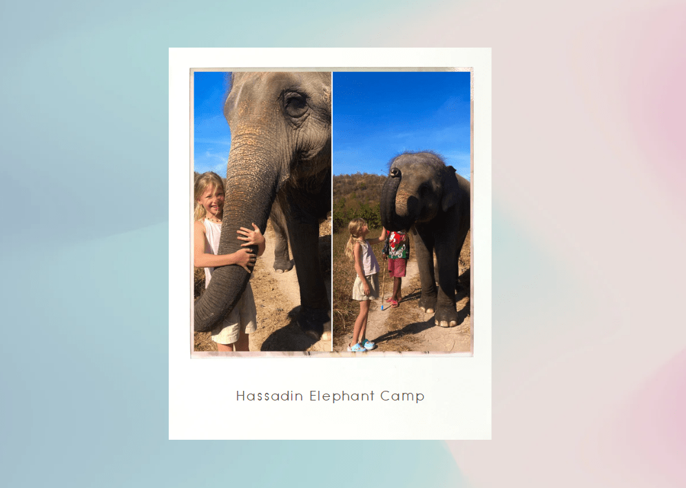 hua hin Hassadin Elephant Camp