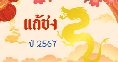 แก้ชง ปีชง 2567