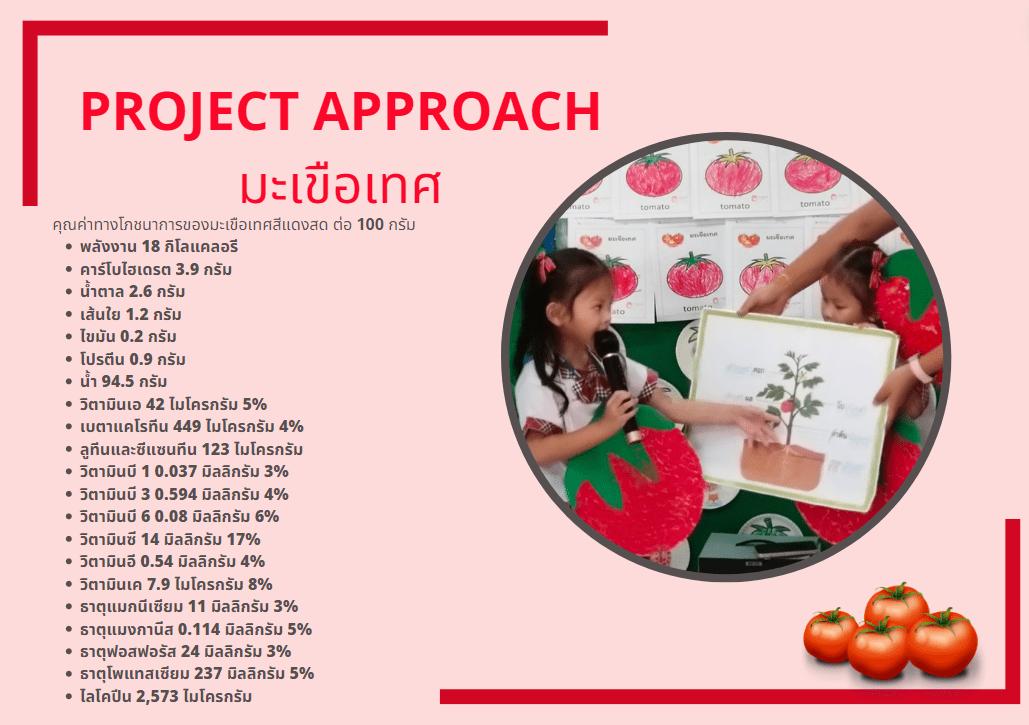 โครงงานมะเขือเทศ