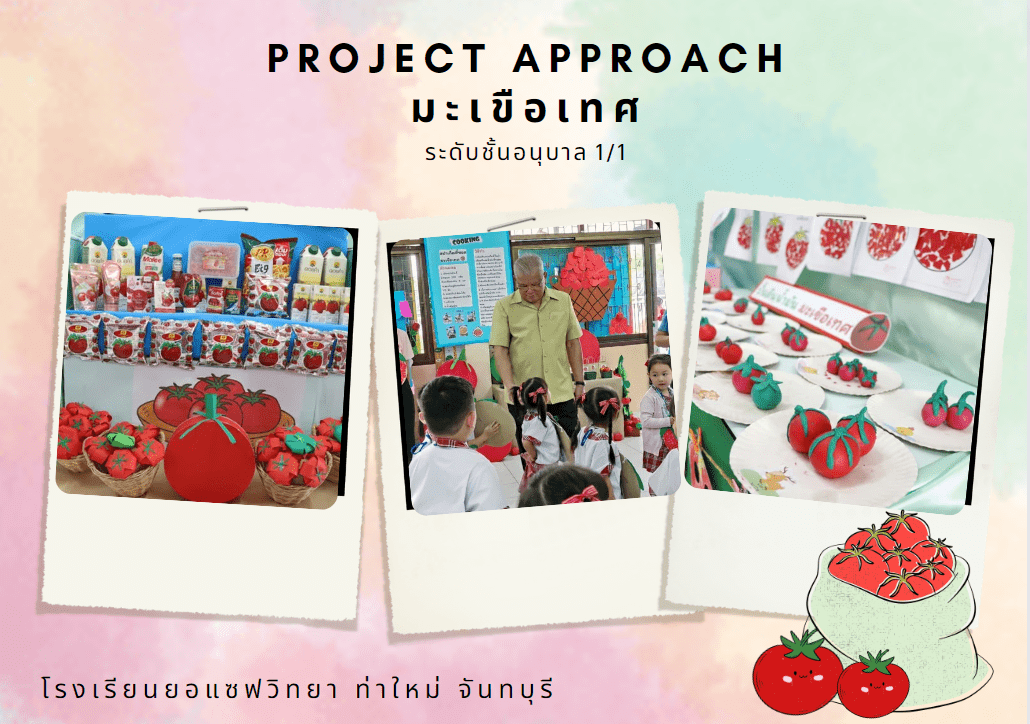 โปรเจคเรื่องมะเขือเทศ