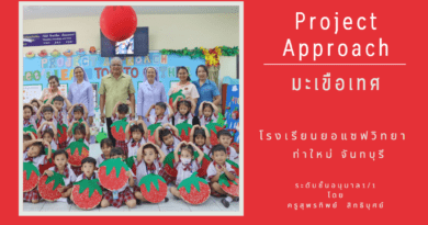 โปรเจคเรื่องมะเขือเทศ โครงงานเรื่องมะเขือเทศ