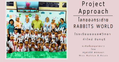 โครงงานอนุบาล โครงงานเรื่องกระต่าย