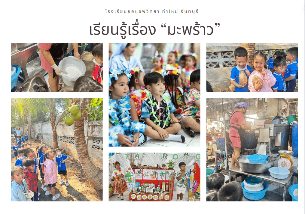 Project Approach เรื่องมะพร้าวพราวเสน่ห์ 2567 Project Approach มะพร้าวพราวเสน่ห์