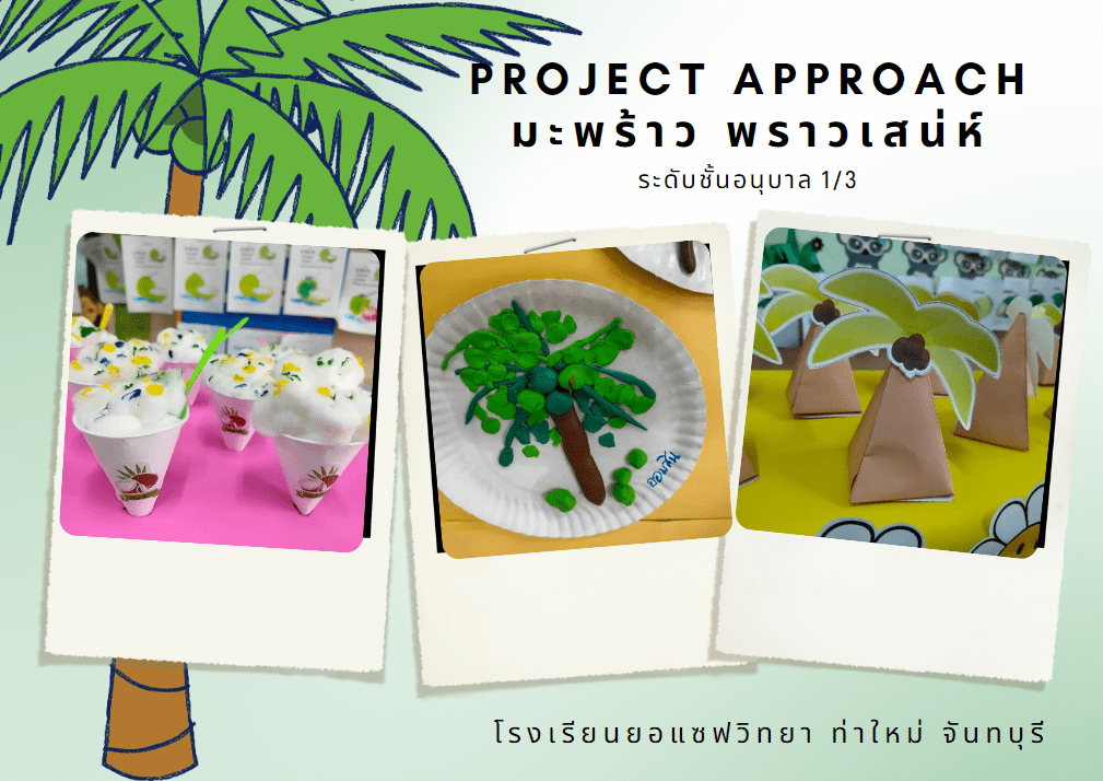 Project Approach เรื่องมะพร้าวพราว โครงงานเรื่องมะพร้าว