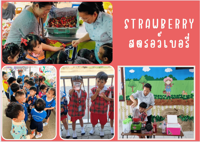 Project Approach เรื่องสตรอว์เบอรี่ 2567