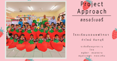 โครงงานอนุบาล โครงงานปฐมวัย