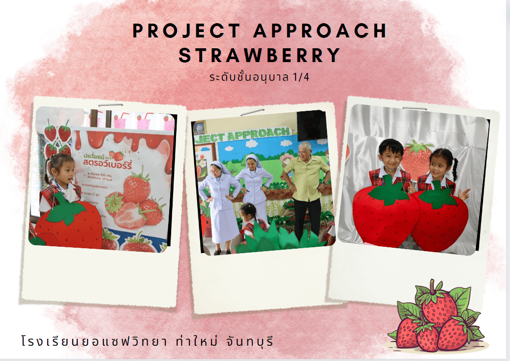 Project Approach Strawberry