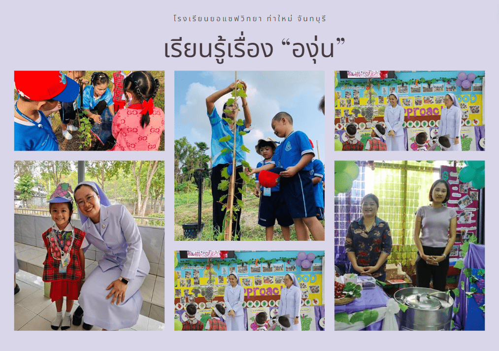 Project Approach โครงงานอนุบาล