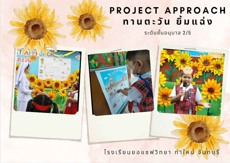 Project Approach เรื่อง ดอกทานตะวัน