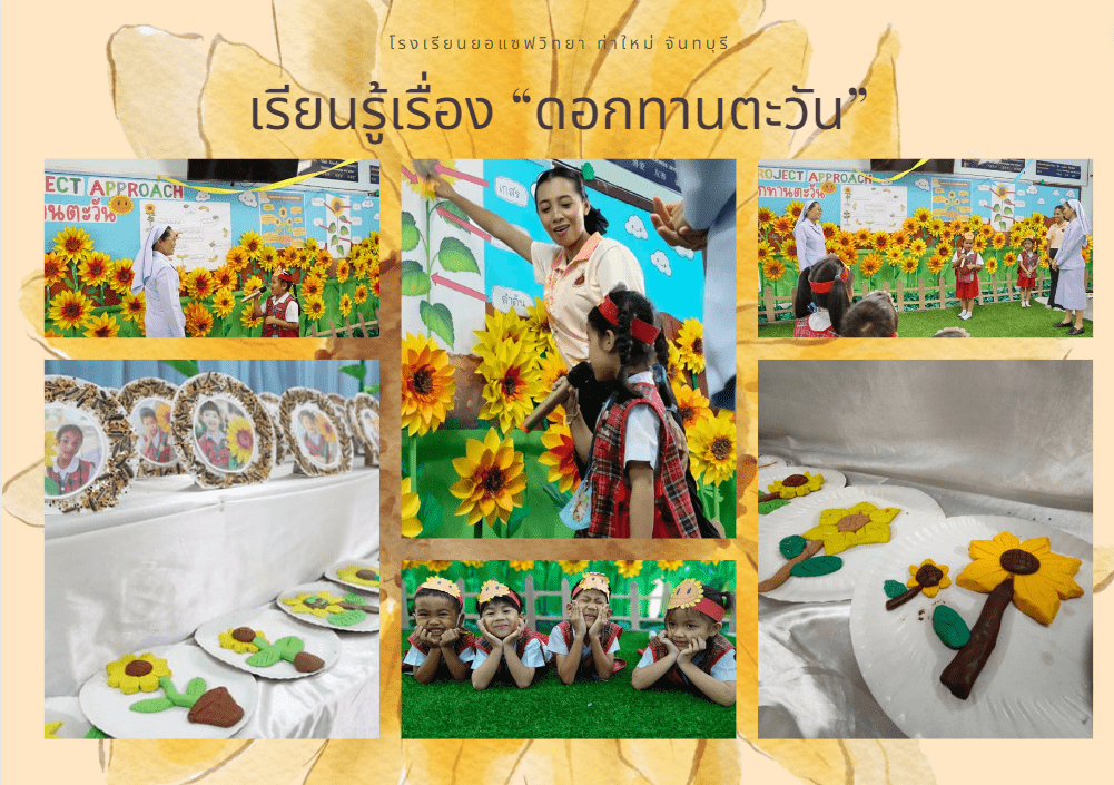 เรียนรู้เรื่องดอกทานตะวัน Project Approach