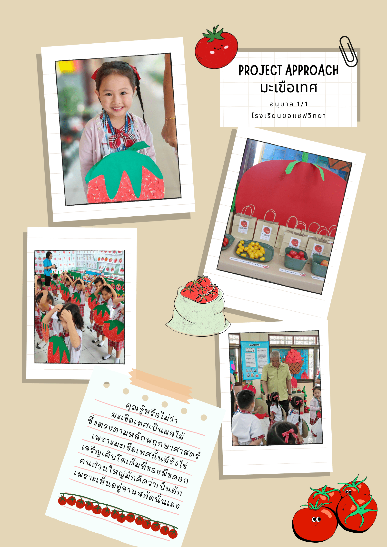 Project Approach มะเขือเทศ 2567