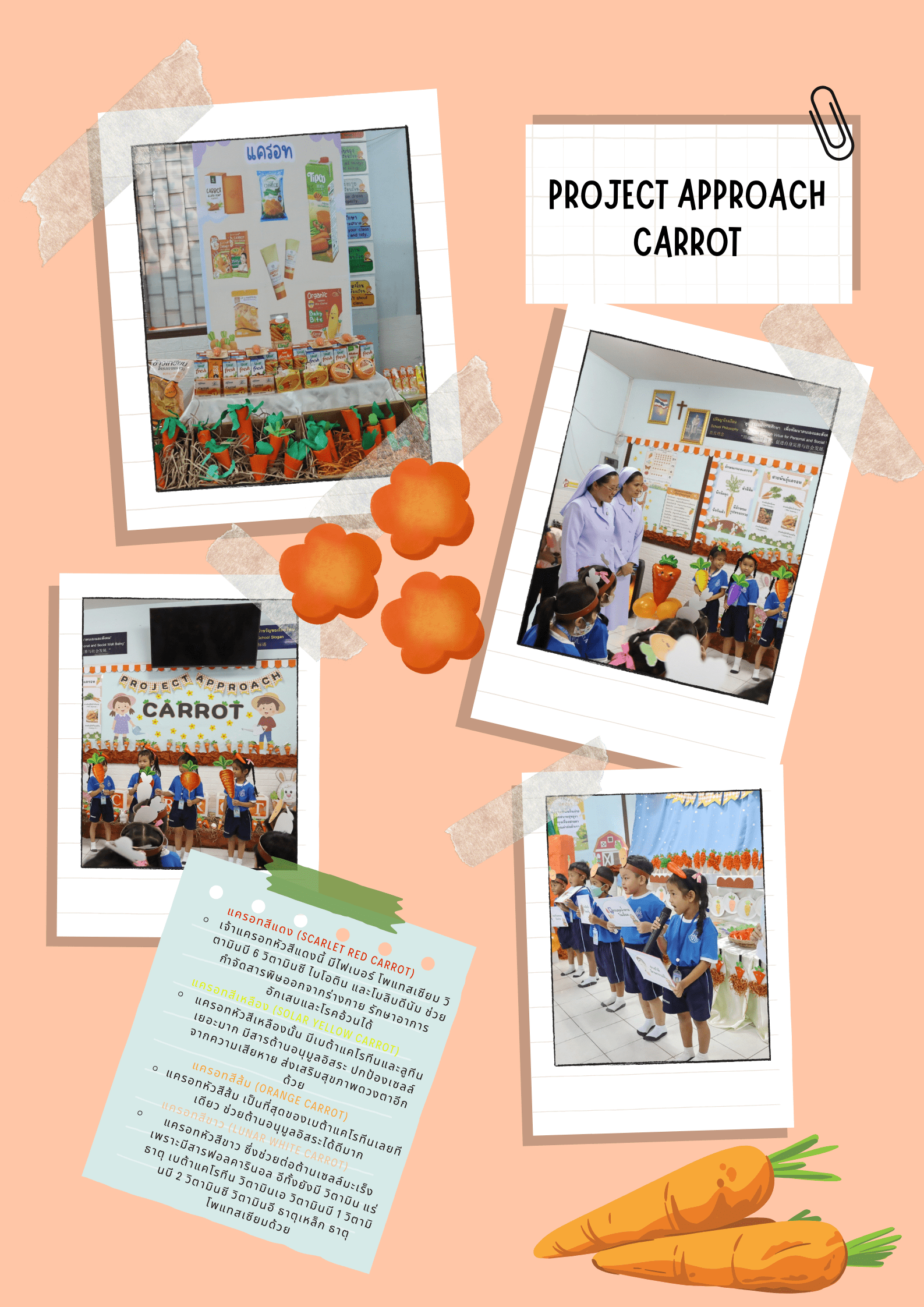 โครงงานเรื่องแครอท โครงงานโรงเรียนยอแซฟวิทยา Project Approach เรื่อง แครอท