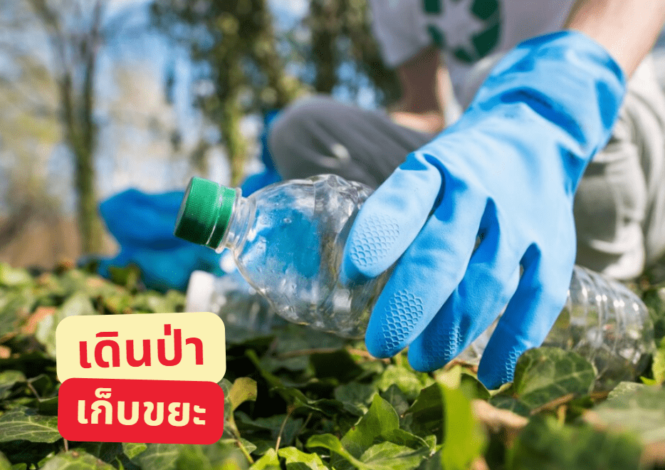 Trail Plogging Day เดิน-วิ่งเก็บขยะในป่า