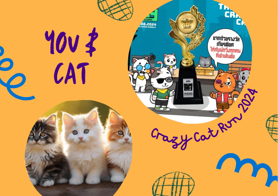 วิ่งเพื่อแมวจร 2024 -001