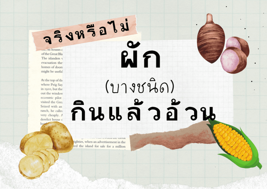 ผักกินแล้วอ้วน มีอะไรบ้าง