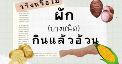 ผักกินแล้วอ้วน ผักกินแล้วอ้วน มีอะไรบ้าง