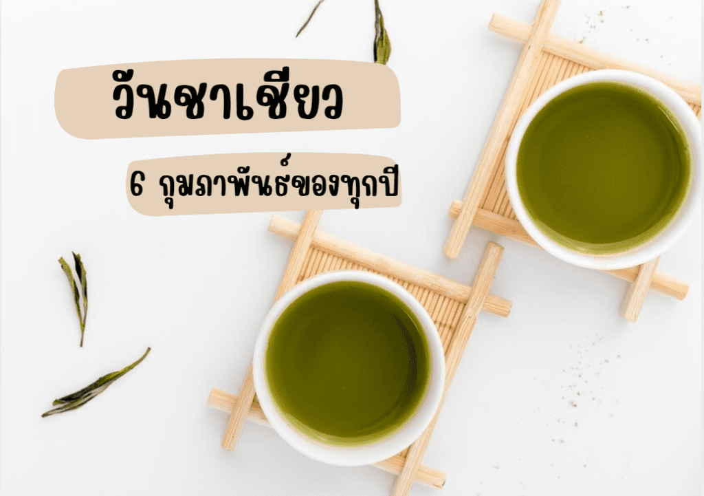 Green Tea Day วันชาเขียว