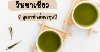 Green Tea Day วันชาเขียว
