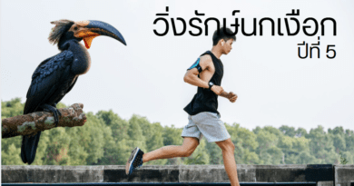 วิ่งรักษ์นกเงือก ปีที่ 5