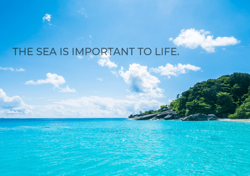 The sea is important to life Sai Scott -02
