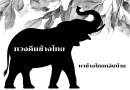 พาช้างไทยกลับบ้าน