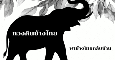 พาช้างไทยกลับบ้าน